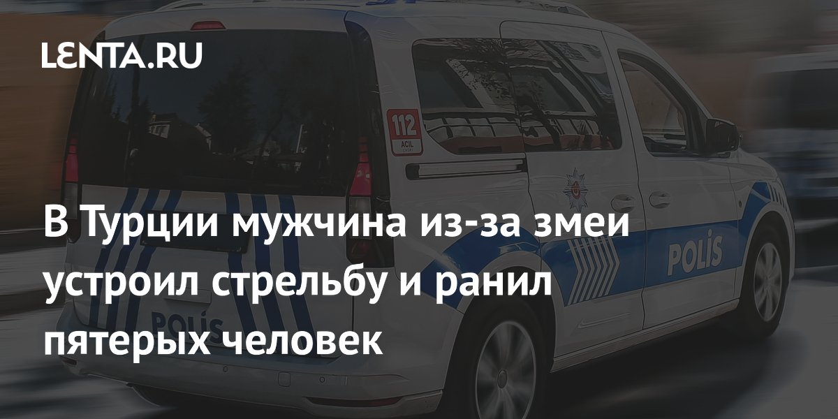 В Турции мужчина из-за змеи устроил стрельбу и ранил пятерых человек