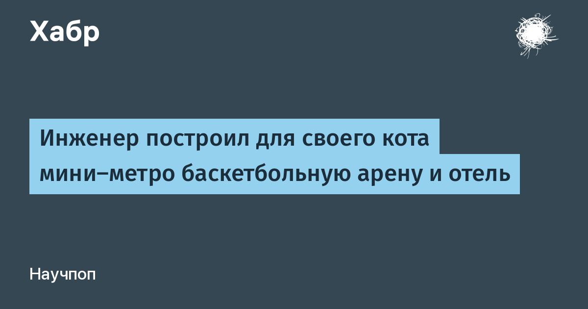 Китайский блогер построил для кота мини-метро, баскетбольную арену и отель