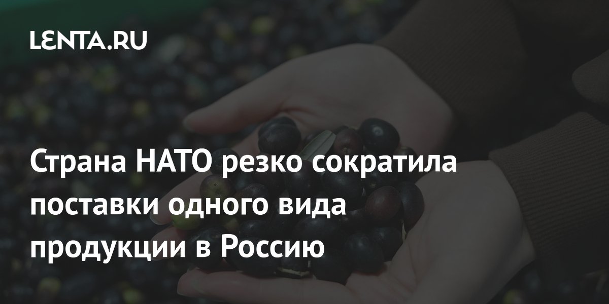 Экспорт итальянского оливкового масла в Россию упал на 19% — страна НАТО потеряла статус крупнейшего поставщика