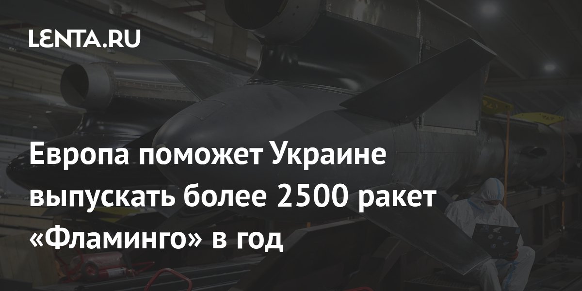 Европа начнет выпуск украинских ракет «Фламинго»: до 2500 в год Европа начнет выпуск украинских ракет «Фламинго»: до 2500 в год