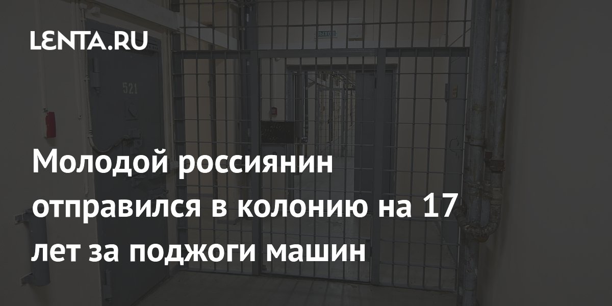 21-летний муромец приговорен к 17 годам за поджоги машин по заданию Киева