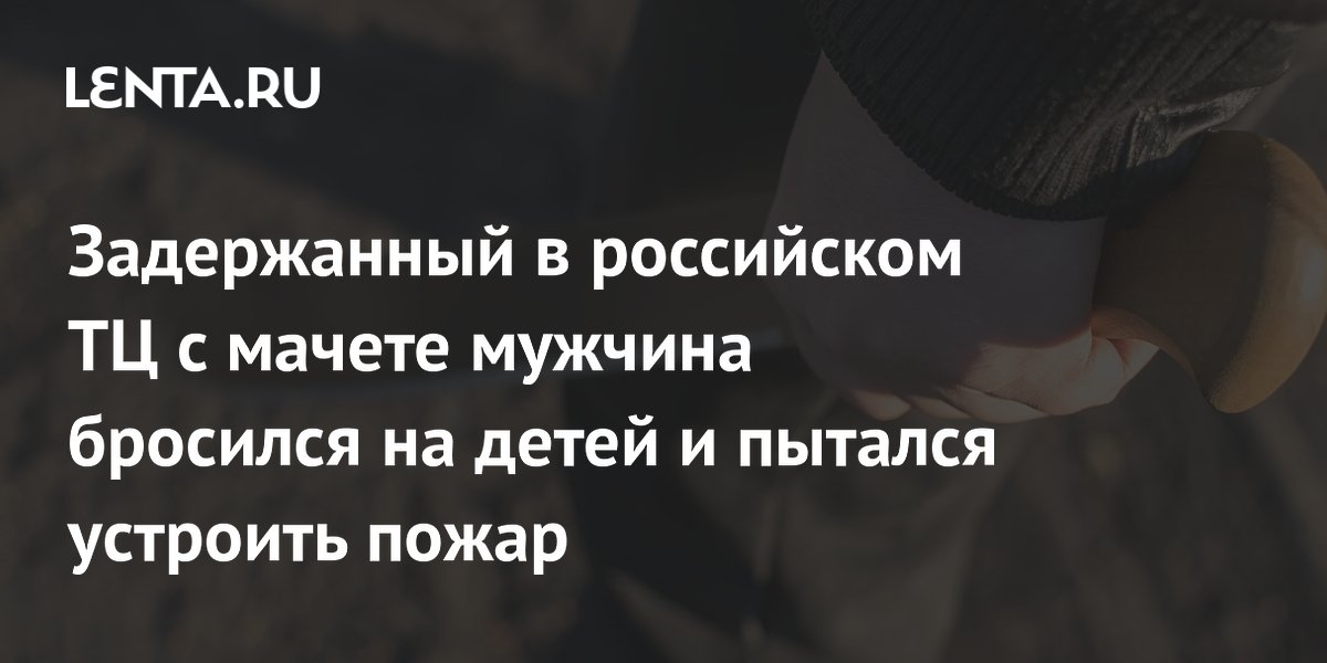 Напавший с мачете на посетителей ТЦ в Краснодаре бросился на детей и пытался устроить пожар Напавший с мачете на посетителей ТЦ в Краснодаре бросился на детей и пытался устроить пожар