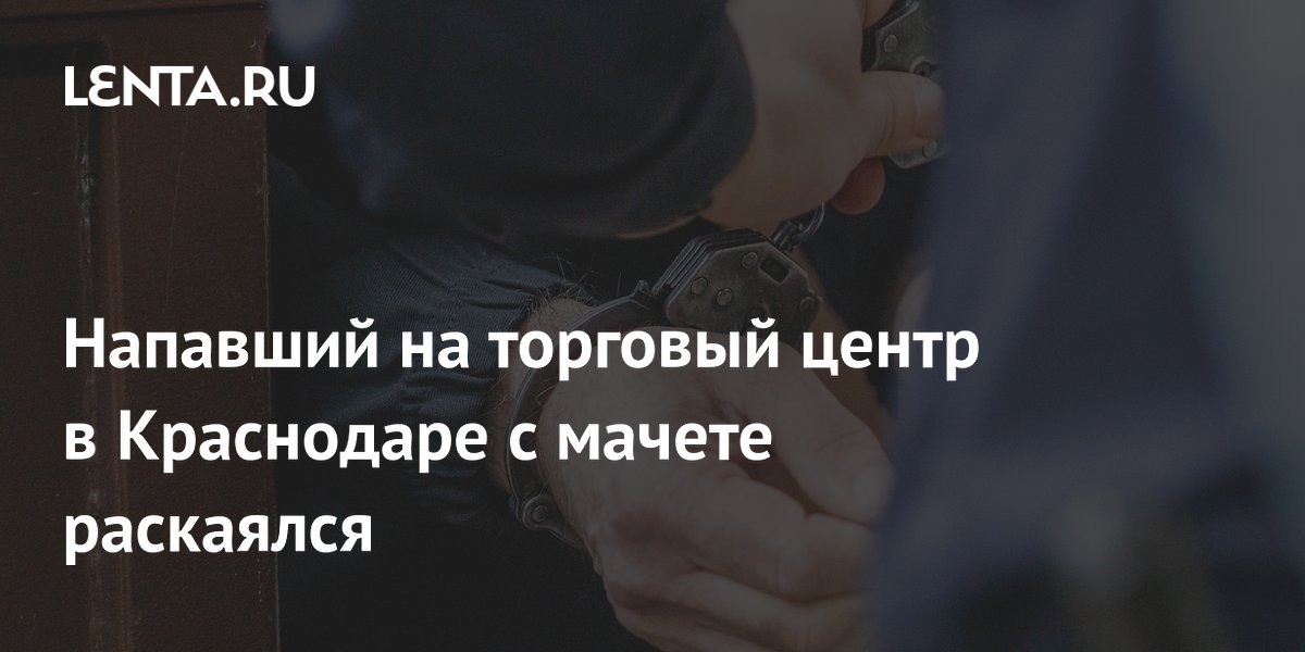 Напавший на торговый центр в Краснодаре с мачете признал вину Напавший на торговый центр в Краснодаре с мачете признал вину