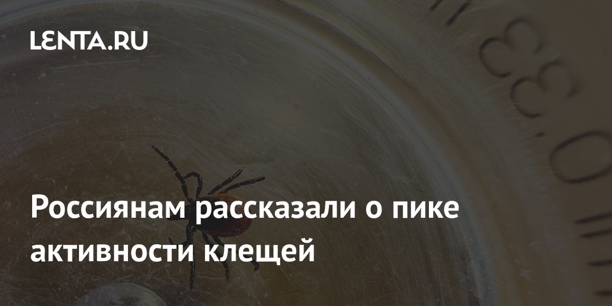 Пик активности клещей в России продлится до сентября Пик активности клещей в России продлится до сентября