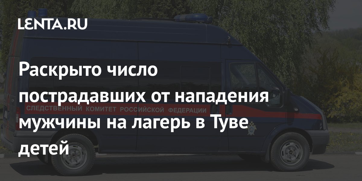 13 детей пострадали при нападении на лагерь в Туве 13 детей пострадали при нападении на лагерь в Туве