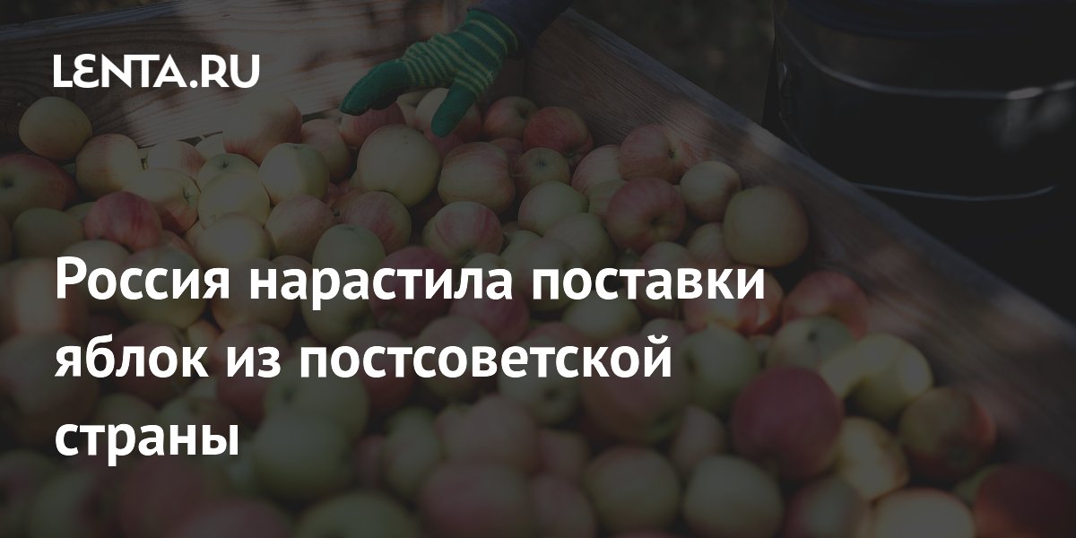 Россия в мае нарастила импорт яблок из Грузии в пять раз Россия в мае нарастила импорт яблок из Грузии в пять раз
