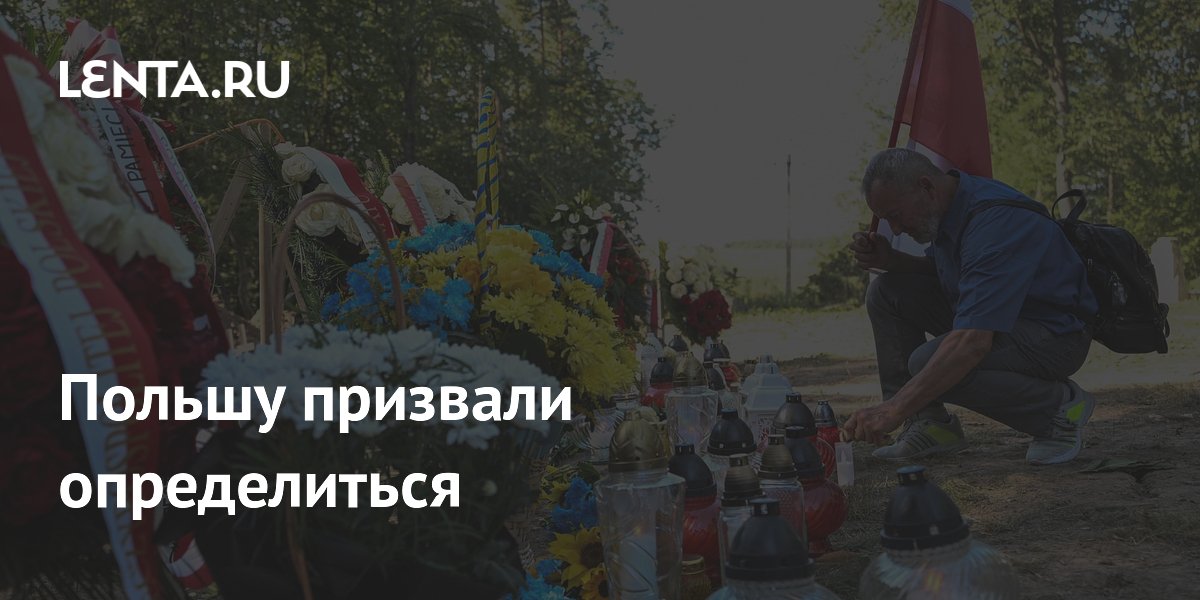 Володин призвал Польшу определиться между павшими и неонацизмом