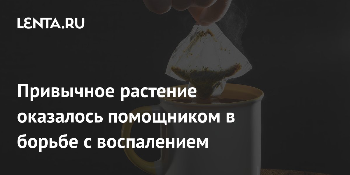 ������������: �������� ������� ������� � ����������� � �������� ����