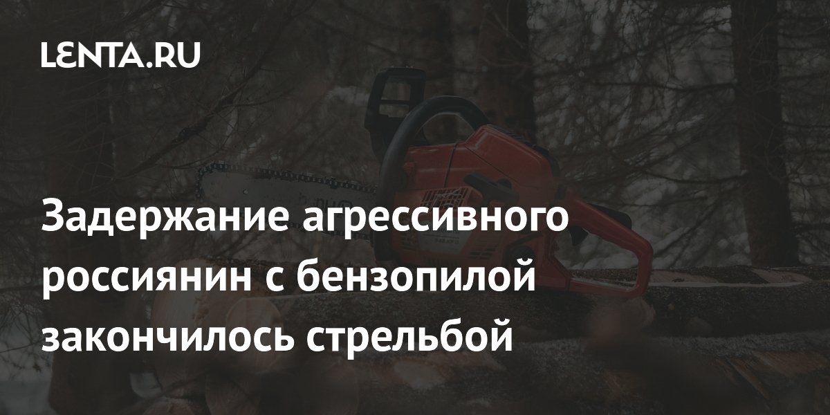 В Красноярском крае полиция задержала агрессивного мужчину с бензопилой В Красноярском крае полиция задержала агрессивного мужчину с бензопилой