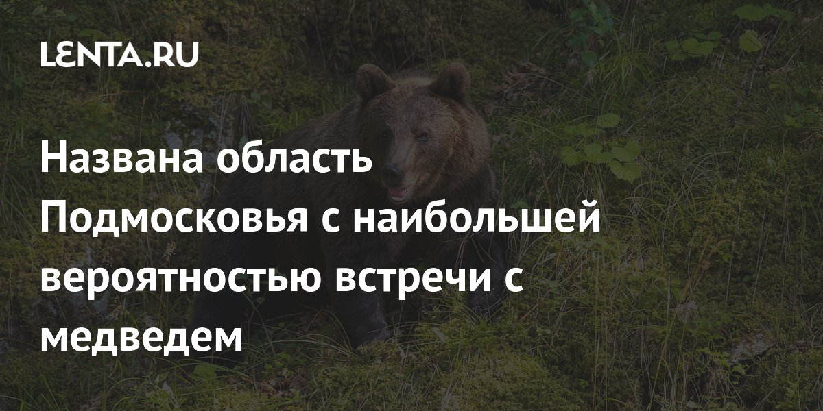 Названы районы Подмосковья, где чаще всего встречают медведей Названы районы Подмосковья, где чаще всего встречают медведей