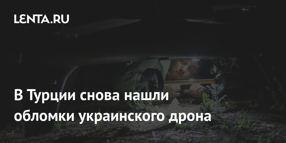 � ������ ����� ��� ���� ������� ����������� �����-���������
