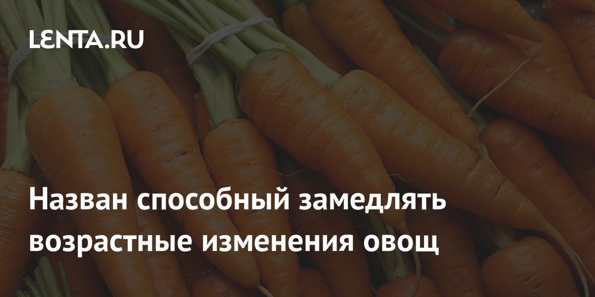 Полифенолы из моркови увеличили продолжительность жизни нематод на 25% Полифенолы из моркови увеличили продолжительность жизни нематод на 25%