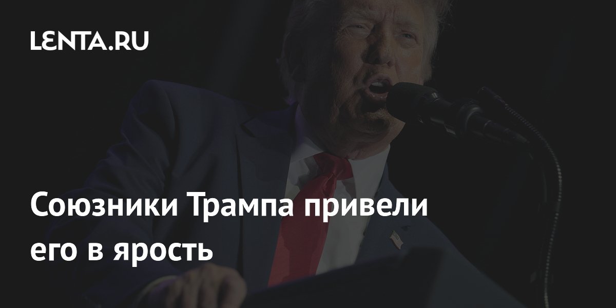 ��������-������������� ������� ���� ������ �������� ����� � ������