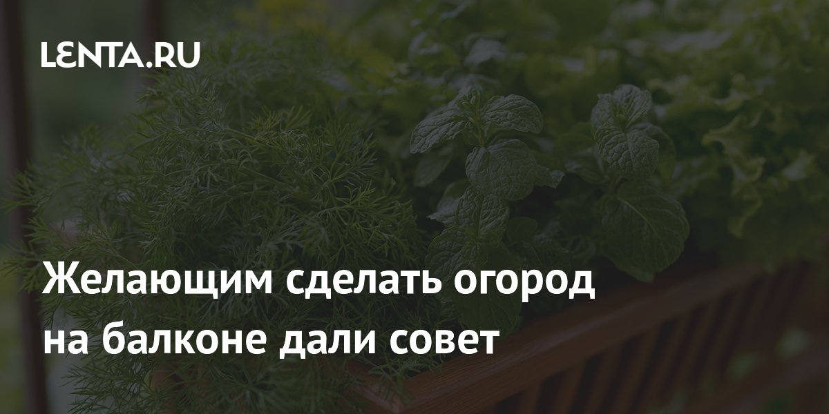 �������: �� ������� ����� �������� � ������ � ����