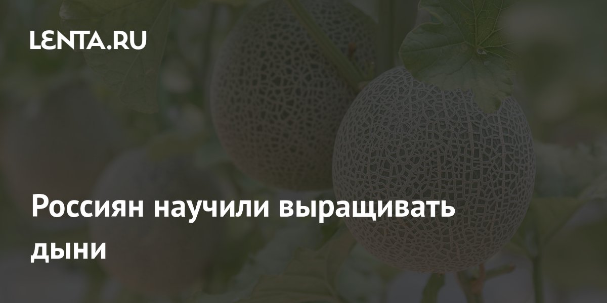 �������� ����: ������� ��������� ������� ������ �������� ������