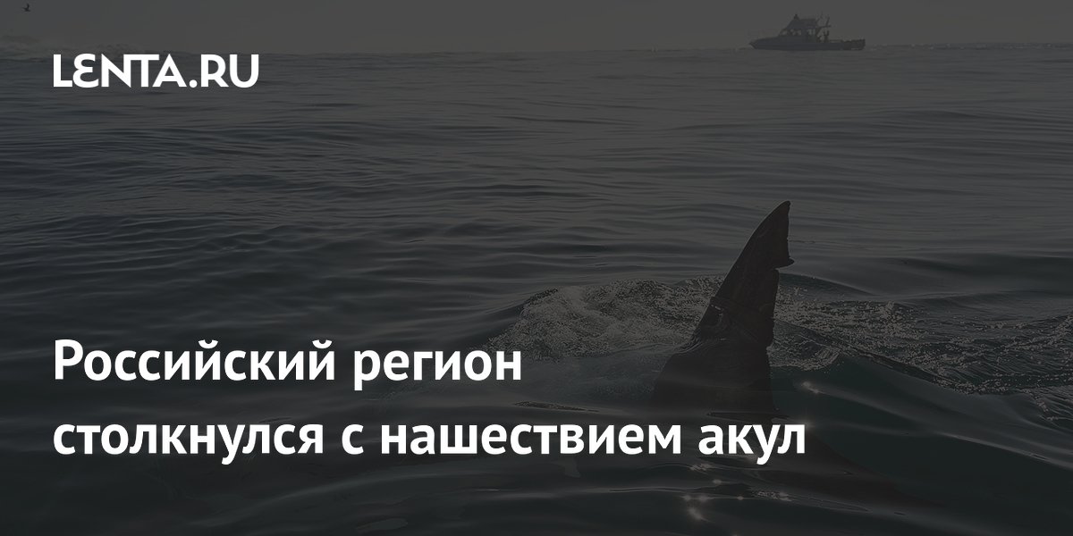 ����� ������� ����� ��������: � ����� ��������� �������� ������
