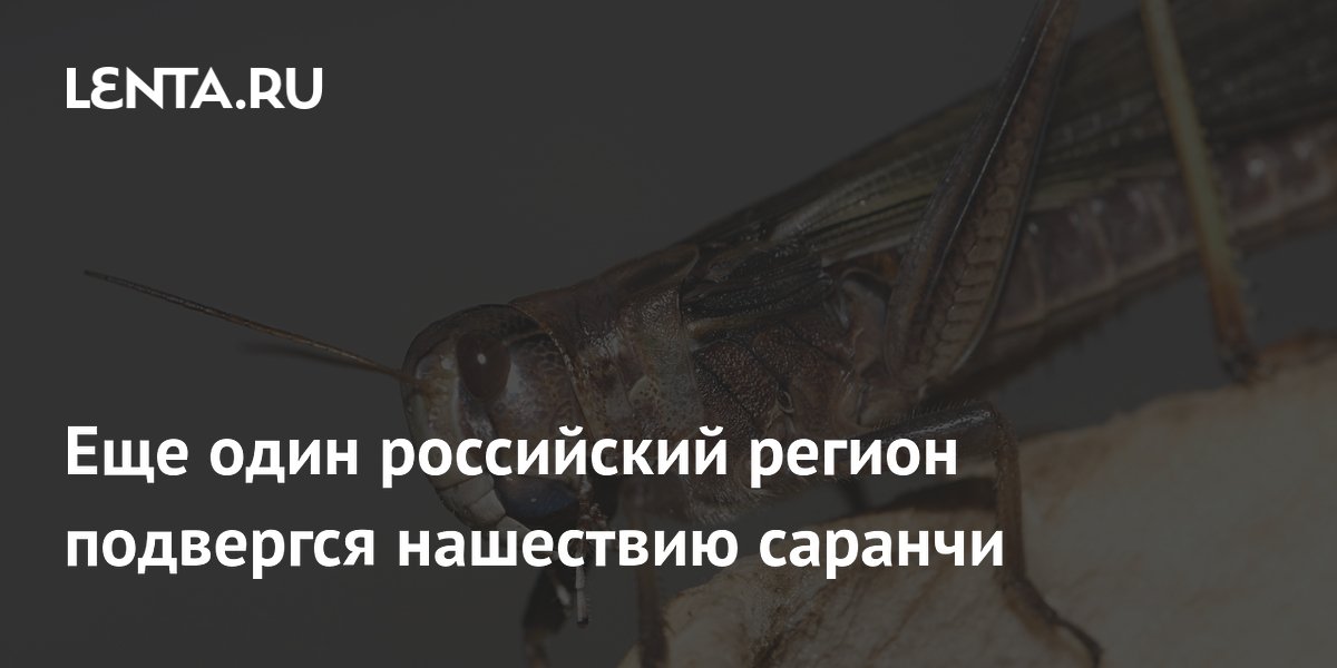�������� ��������� �������: ����� ���� ��������� ���������� �� ��� ������