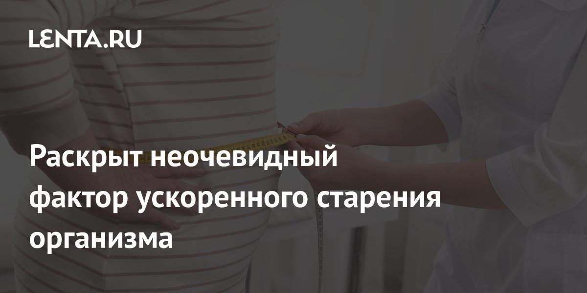 Висцеральный жир ускоряет биологическое старение: результаты крупного исследования