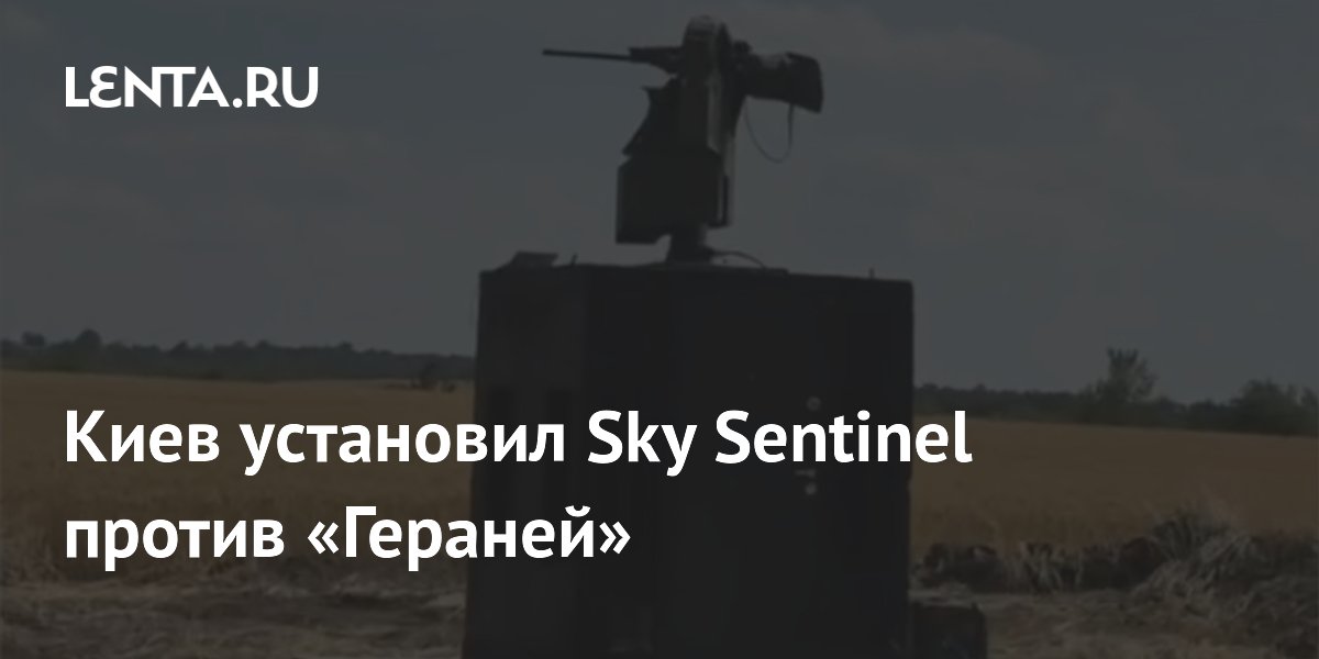 �� ������� �������� ������������ ������ Sky Sentinel ��� ������ � ���������