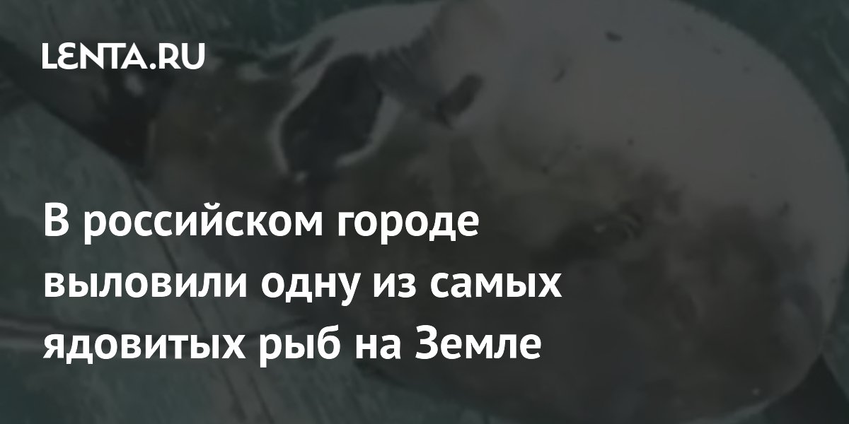 �� ������������ �������� �������� ���� ���� ��-�� ���������� ����