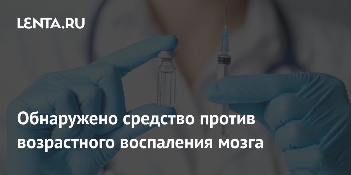 Назальная терапия внеклеточными везикулами снизила воспаление мозга и улучшила память у мышей Назальная терапия внеклеточными везикулами снизила воспаление мозга и улучшила память у мышей