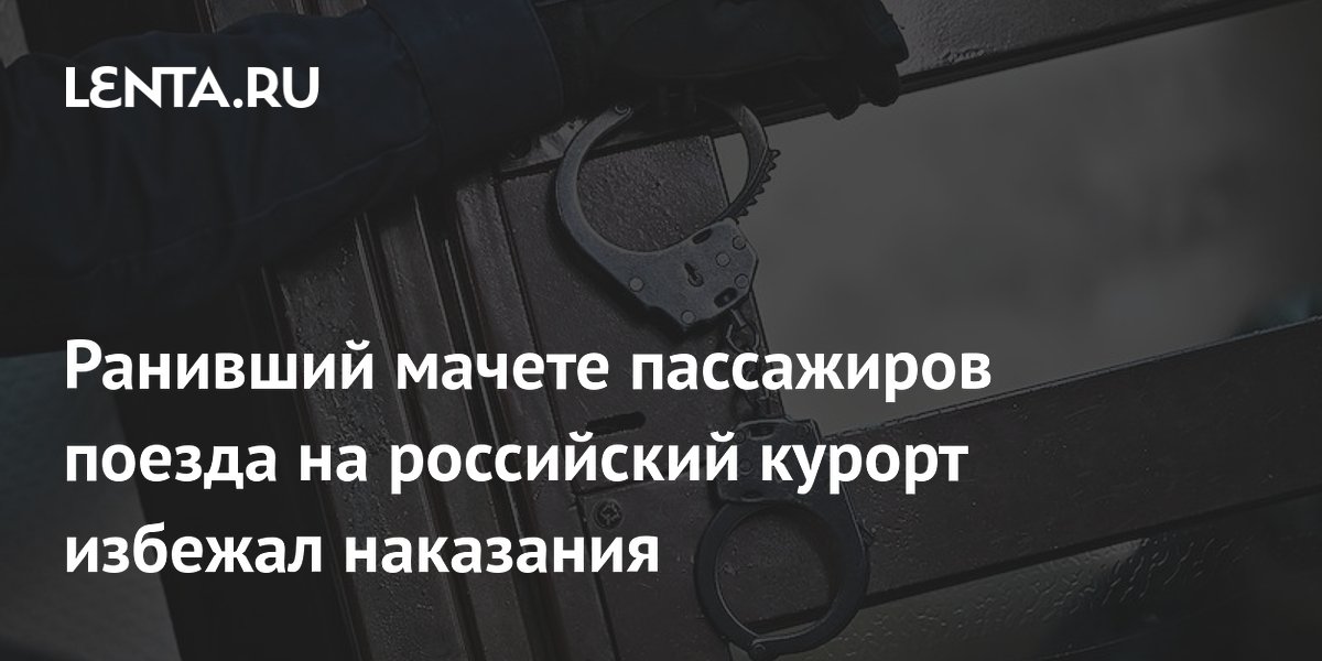 Суд отправил на лечение мужчину, ранившего мачете пассажиров поезда на курорт