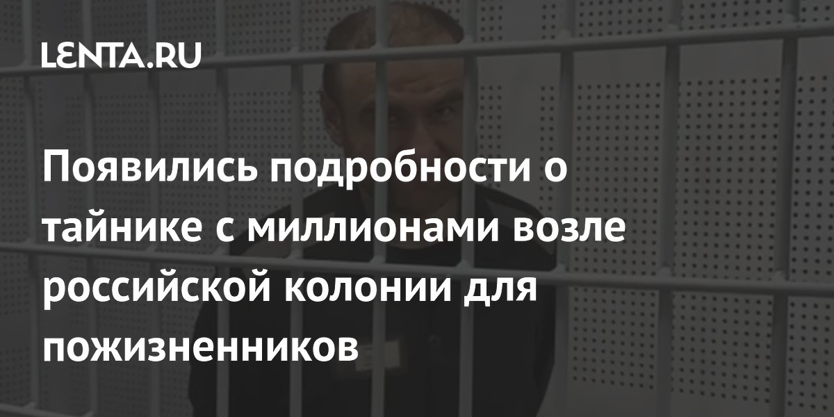Экс-сенатор Арашуков организовал тайник с 2 млн рублей возле колонии «Черный дельфин»