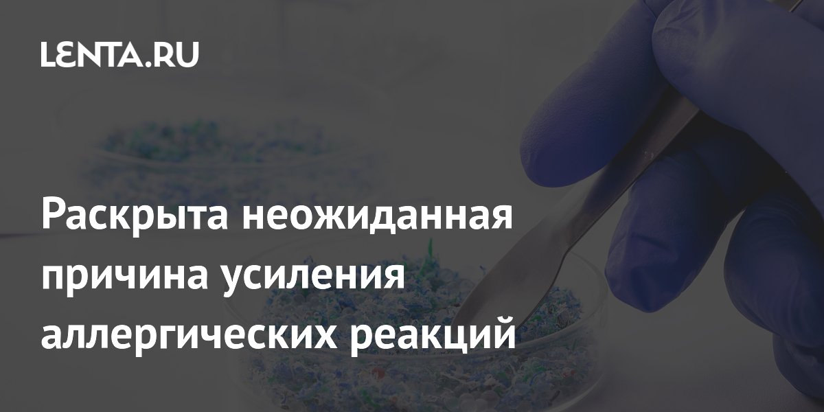 Микропластик в легких усиливает аллергические реакции — новое исследование Микропластик в легких усиливает аллергические реакции — новое исследование