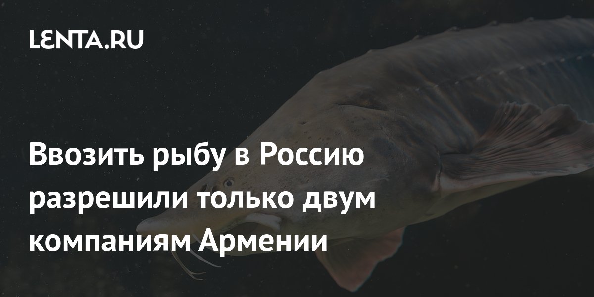 ���� ���� � ������ ��������� ������ ���� ��������� ���������