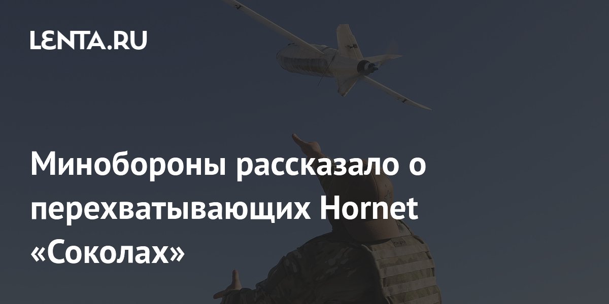 Российские перехватчики «Сокол-И» сбивают дроны Hornet ВСУ Российские перехватчики «Сокол-И» сбивают дроны Hornet ВСУ
