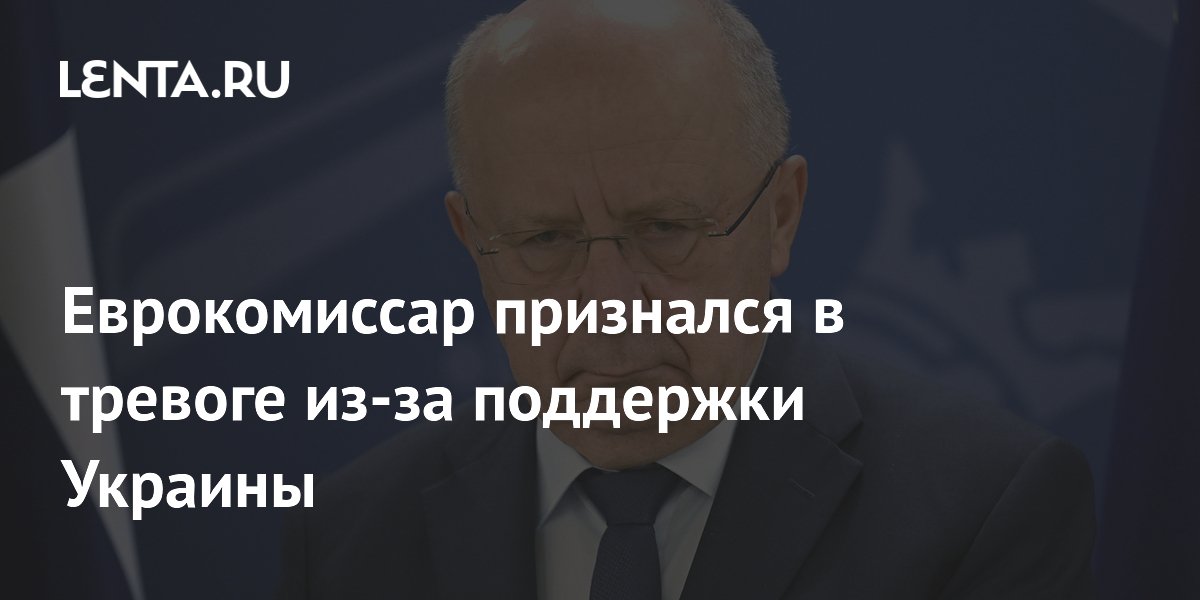 Еврокомиссар Кубилюс признался в тревоге из-за обещания вечной поддержки Украины