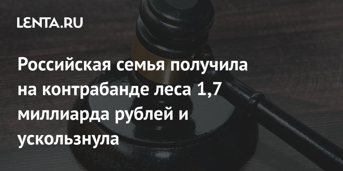 Экс-депутат и его отец осуждены заочно за контрабанду леса на 1,7 млрд рублей