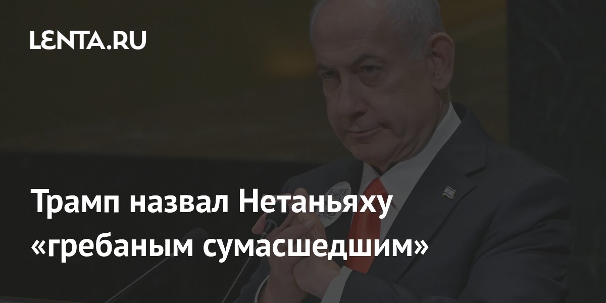 ����� ����������, ��� � ��������� � ��������� ������ ��� ��������� �����������