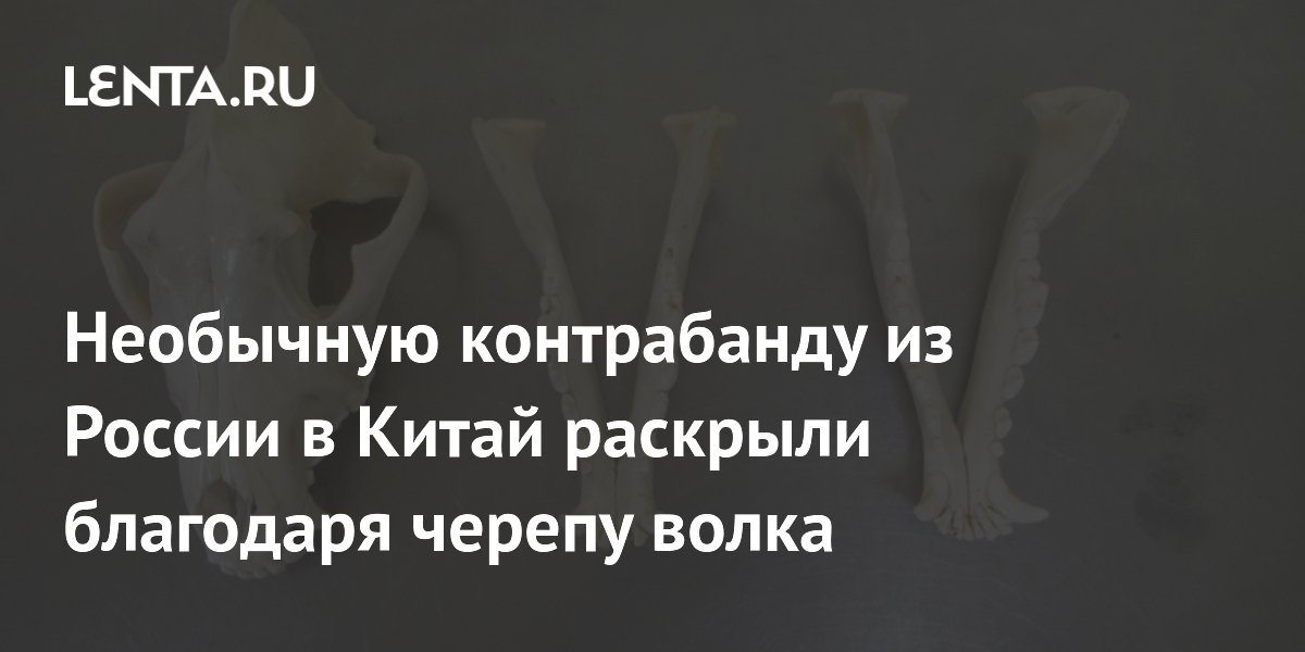 ����� ����� �������� ������� � �����: ����������� �������� � ������������