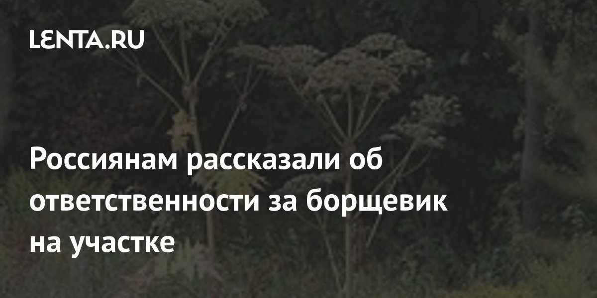 ���������: �� �������� �� ������� �� ����� ���������� �����
