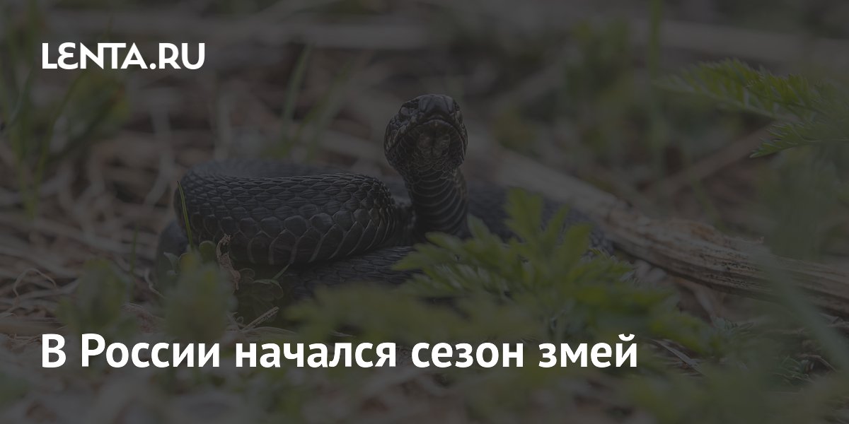 � ������ ������� ����� ����: � ������� �������� ������������� �����