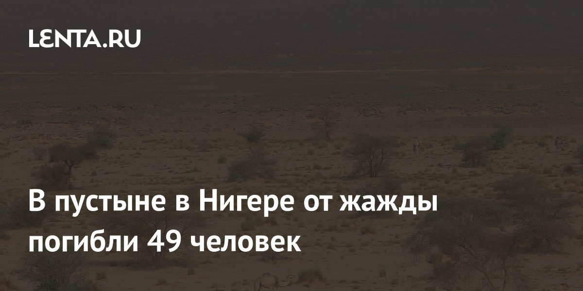 В Нигере 49 человек погибли от жажды после поломки грузовика в пустыне В Нигере 49 человек погибли от жажды после поломки грузовика в пустыне
