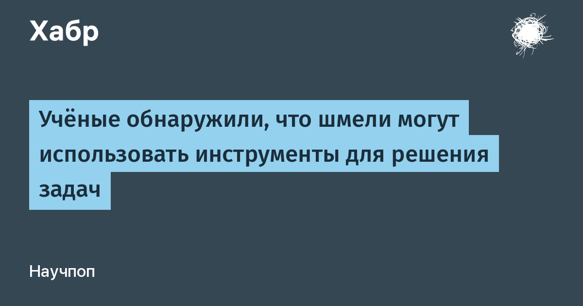 Шмели научились использовать инструменты: эксперимент показал способность к решению задач Шмели научились использовать инструменты: эксперимент показал способность к решению задач