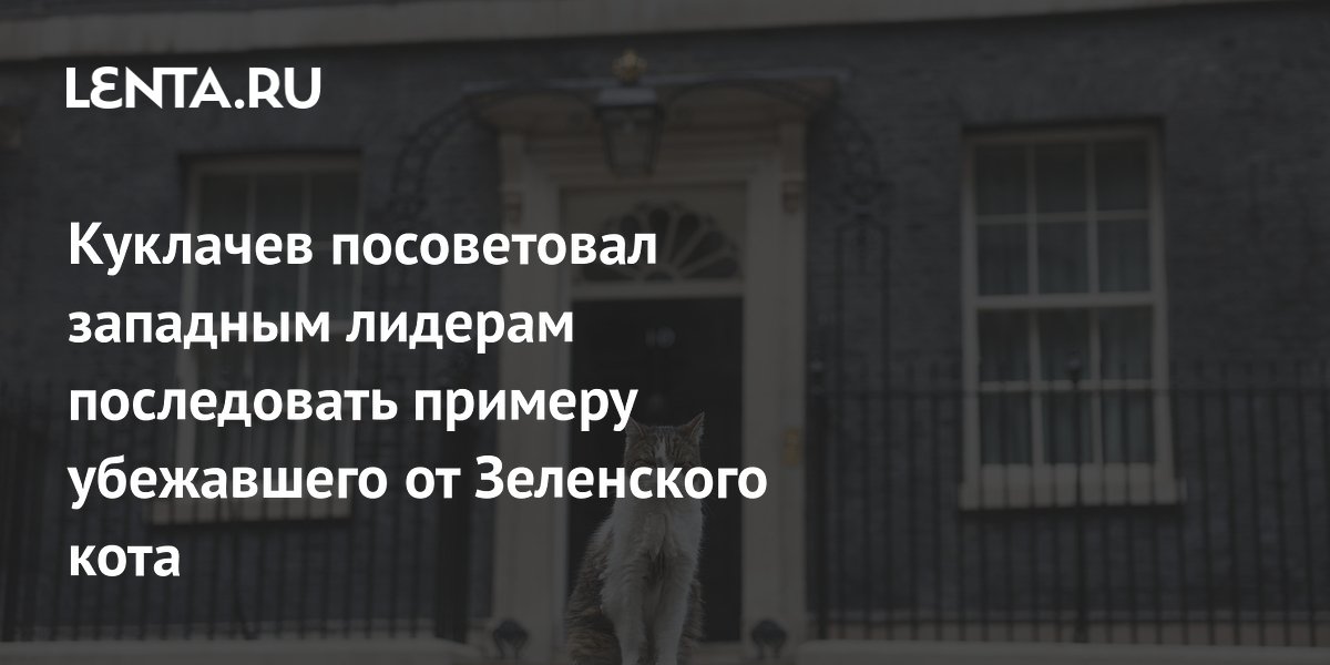 Куклачев предложил западным лидерам повторить поступок кота Ларри, сбежавшего от Зеленского Куклачев предложил западным лидерам повторить поступок кота Ларри, сбежавшего от Зеленского