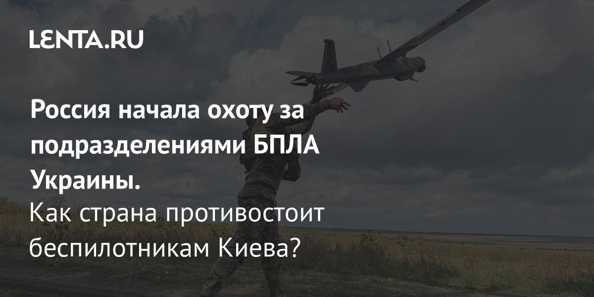 ������ ������� ����� �� �������������� ���� �������: ��� ����� ������� ������� ������