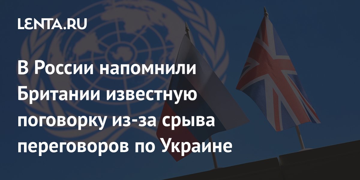 Россия в СБ ООН напомнила Британии поговорку о ссоре соседей из-за Украины