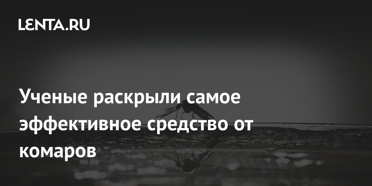 Ученые назвали фумигаторы-испарители самой эффективной защитой от комаров