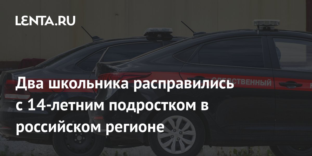 В Туве 16-летние школьники убили 14-летнего подростка ножом и камнем