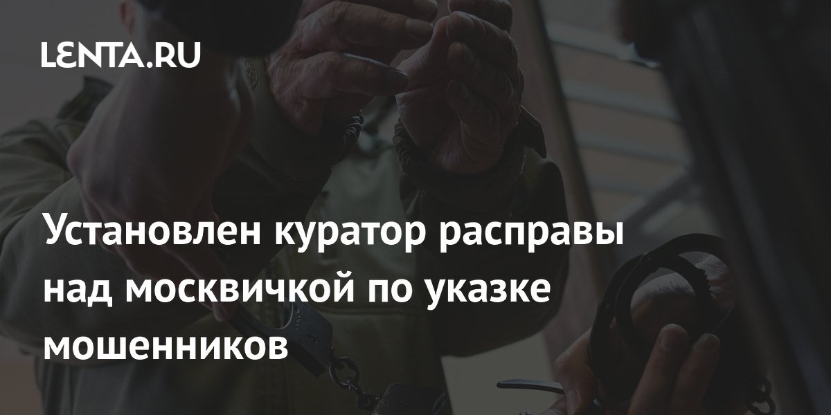Задержан куратор убийства предпринимательницы в Строгино и его сообщник