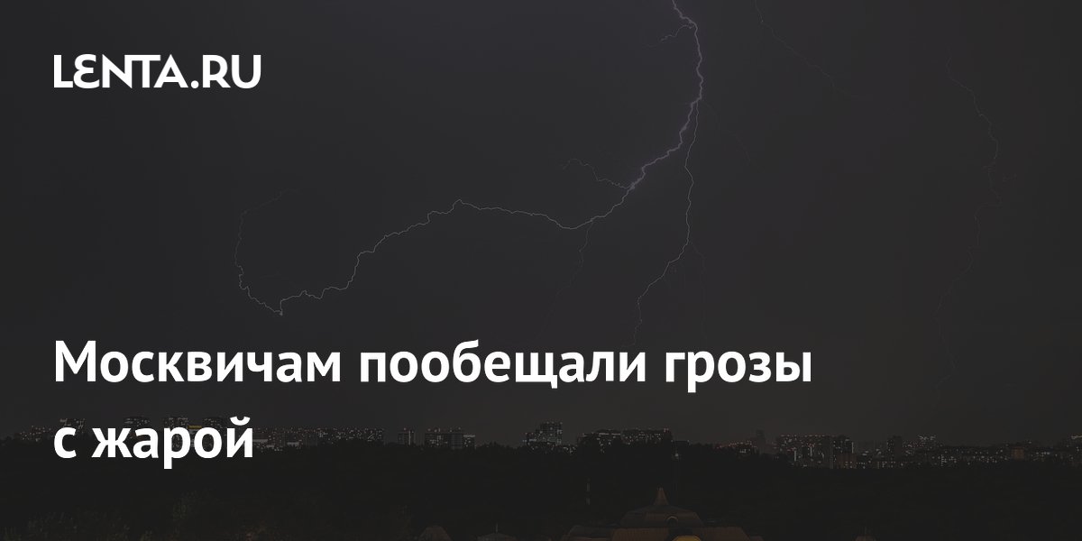 ��������� ��������� ����� � ���� �� +31: �������� ������ ������� ���������