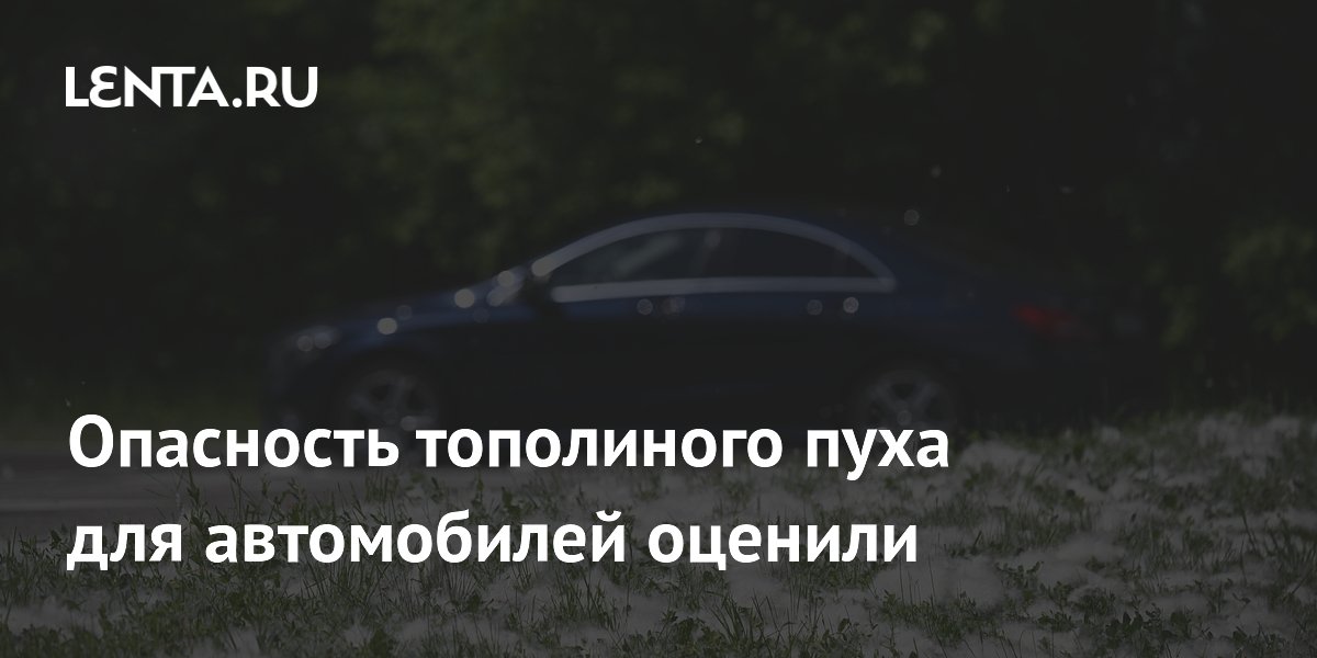 Эксперт ФАР: тополиный пух может вывести из строя двигатель автомобиля