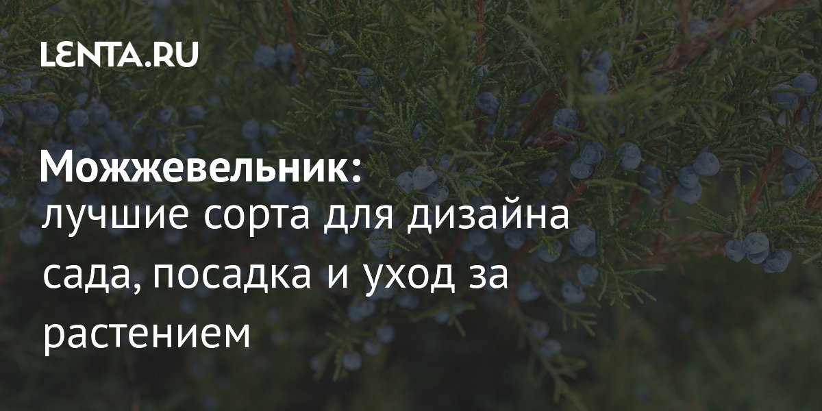������������: ������ ����� ��� ����, ������� � ���� �� ���������