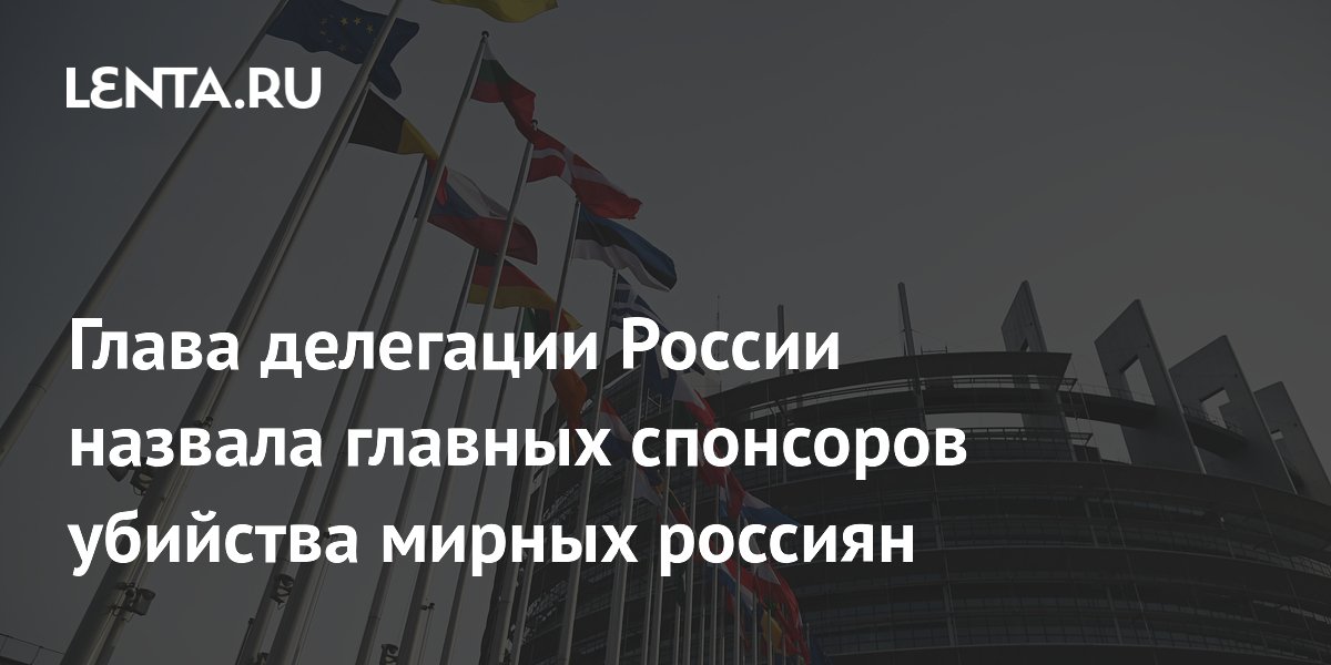 Глава делегации РФ обвинила "коалицию дронов" в спонсировании ударов по мирным россиянам