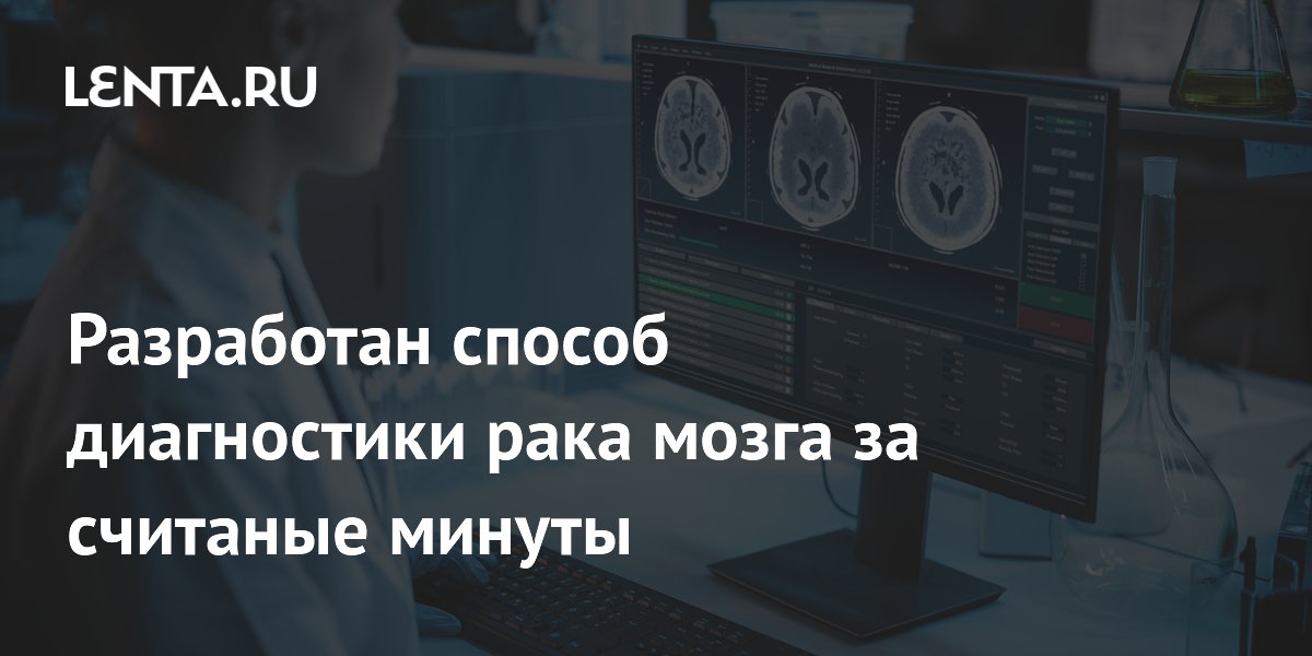 ��-����������� ���� ����� �� 12 �����: �������� ������ ������� �������� Hetairos