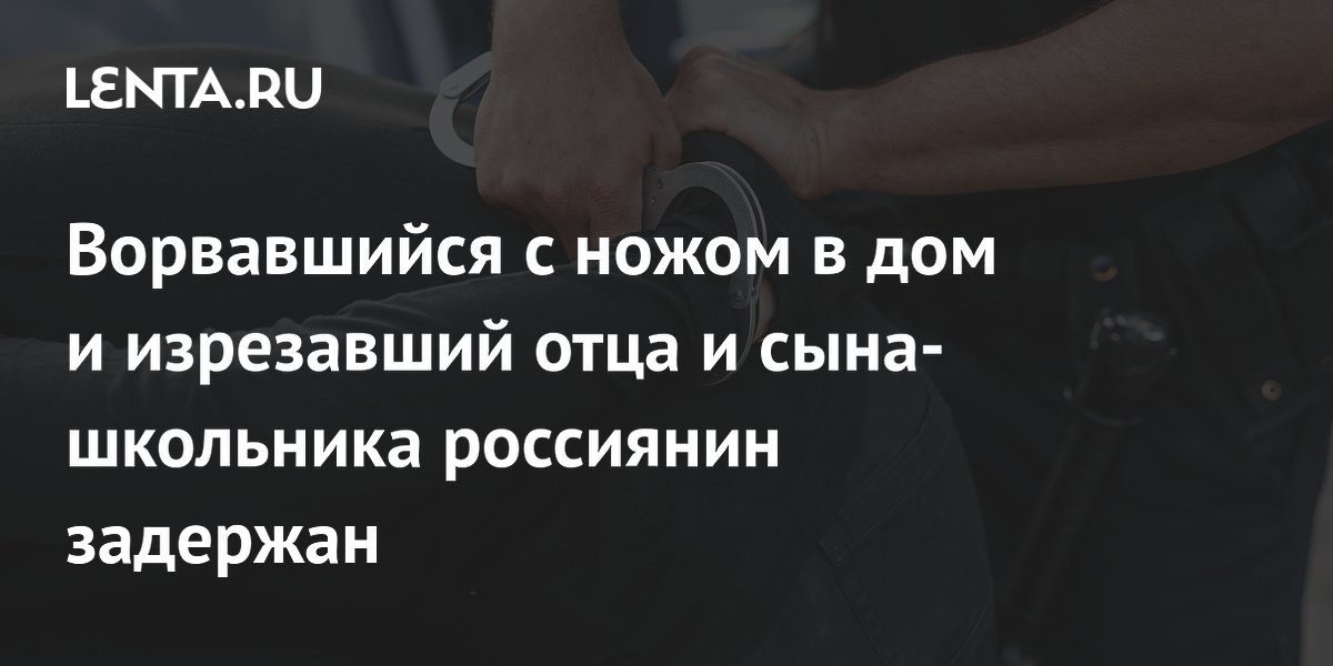 Задержан напавший с ножом на отца и сына-школьника в подмосковной деревне